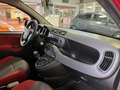 Fiat Panda 1.2  Easy Rosso - thumbnail 7