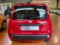 Fiat Panda 1.2  Easy Rosso - thumbnail 4