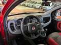 Fiat Panda 1.2  Easy Rosso - thumbnail 8