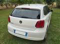 Volkswagen Polo Polo 5p 1.2 United 60cv Bianco - thumbnail 9