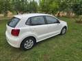 Volkswagen Polo Polo 5p 1.2 United 60cv Bianco - thumbnail 3