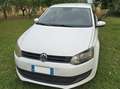 Volkswagen Polo Polo 5p 1.2 United 60cv Bianco - thumbnail 5