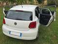 Volkswagen Polo Polo 5p 1.2 United 60cv Bianco - thumbnail 1