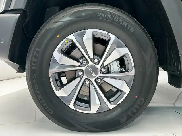 Baic BJ40 view 9