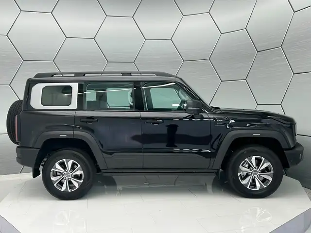 Baic BJ40 view 6