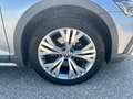 Volkswagen Passat Alltrack Passat Alltrack 2,0 TDI SCR 4Motion DSG Argent - thumbnail 11
