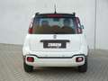 Fiat Panda 1.0 Hybrid Pandina | Airco | Carplay | Cruise | PD Blanco - thumbnail 15