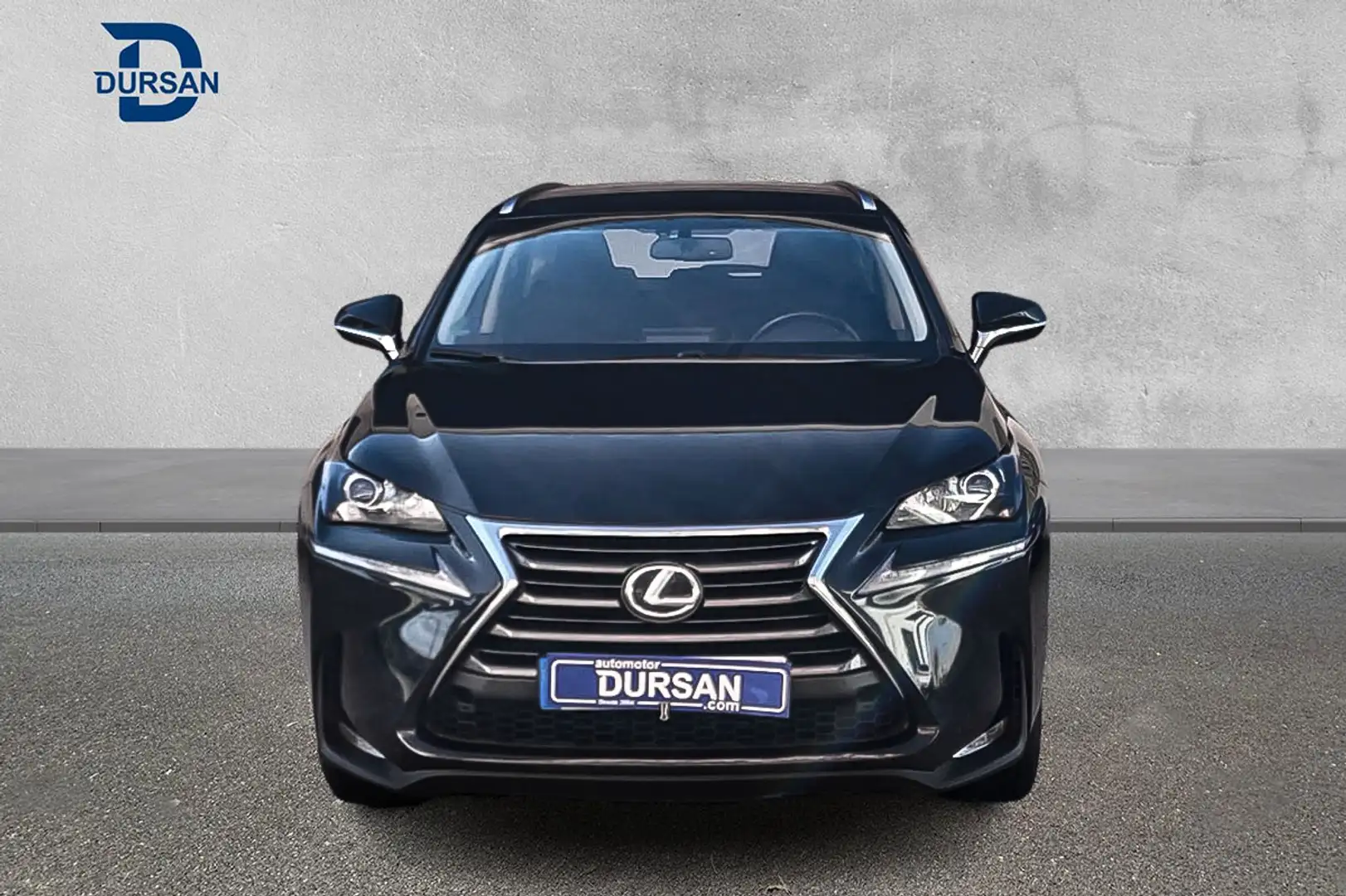 Lexus NX 300 300h Business Navigation 2WD - 2