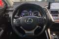 Lexus NX 300 300h Business Navigation 2WD - thumbnail 21