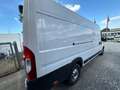 Peugeot Boxer 2.2 BlueHDi 180 L4H2 Autm. 03/2025, 6085km, MwSt. Alb - thumbnail 4