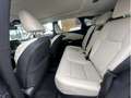 Lexus RX 450h Executive Line Blauw - thumbnail 20