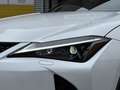 Lexus UX 300h F-Sport Design Leder ACC Camera Blindspot 18'' BTW Blanc - thumbnail 9