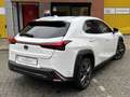 Lexus UX 300h F-Sport Design Leder ACC Camera Blindspot 18'' BTW Blanc - thumbnail 7