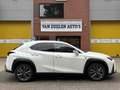 Lexus UX 300h F-Sport Design Leder ACC Camera Blindspot 18'' BTW Blanc - thumbnail 4