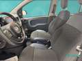 Fiat New Panda 1.0 FireFly Hybrid City Cross Bianco - thumbnail 15