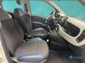 Fiat New Panda 1.0 FireFly Hybrid City Cross Bianco - thumbnail 14