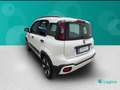 Fiat New Panda 1.0 FireFly Hybrid City Cross Bianco - thumbnail 3