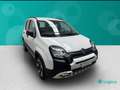 Fiat New Panda 1.0 FireFly Hybrid City Cross Bianco - thumbnail 1