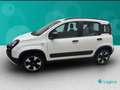 Fiat New Panda 1.0 FireFly Hybrid City Cross Bianco - thumbnail 8