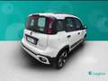 Fiat New Panda 1.0 FireFly Hybrid City Cross Bianco - thumbnail 9