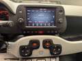 Fiat New Panda 1.0 FireFly Hybrid City Cross Bianco - thumbnail 12
