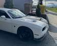 Dodge Challenger Sammlerzustand RARITÄT Öster. Erstzulassung V8 6.4 Weiß - thumbnail 13