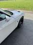Dodge Challenger Sammlerzustand RARITÄT Öster. Erstzulassung V8 6.4 Weiß - thumbnail 15