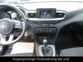 Kia Ceed / cee'd 5-TÜRIG,GARANTIE,KLIMA Blau - thumbnail 11