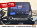 Ford Fiesta 5p 1.0 ecoboost business s&s 100cv Nero - thumbnail 24