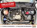 Ford Fiesta 5p 1.0 ecoboost business s&s 100cv Nero - thumbnail 13