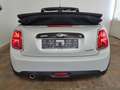 MINI Cooper Cabrio Pepper II Klimaauto. Tempomat H+K Weiß - thumbnail 5