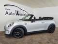 MINI Cooper Cabrio Pepper II Klimaauto. Tempomat H+K Weiß - thumbnail 3