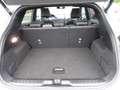 Ford Puma 1.0 Ecoboost ST-Line X +Panorama+LED+Kamera+B&O Grau - thumbnail 7