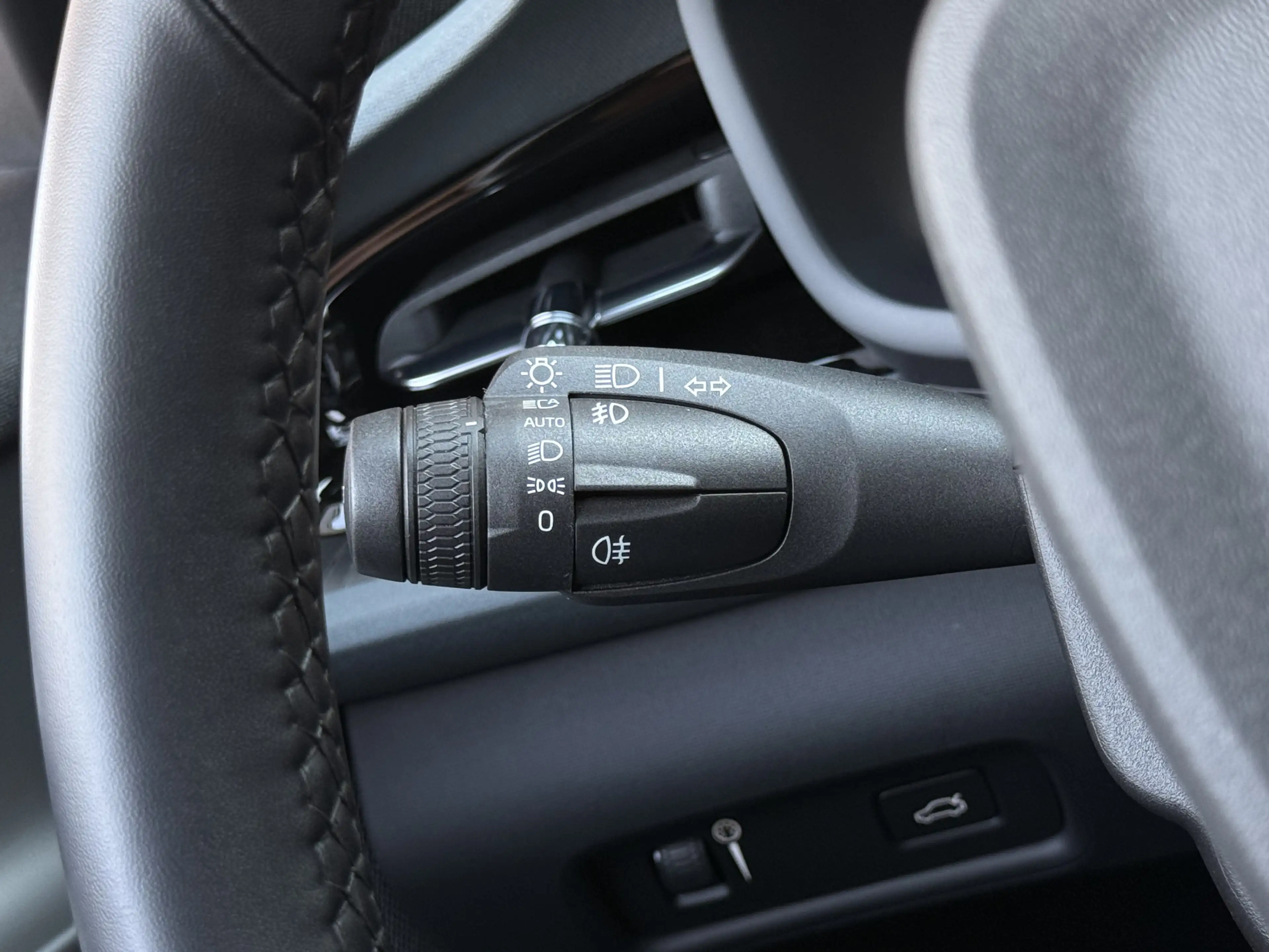 Polestar 2 Standard Range Single Motor 63kWh Mem. Stoel / Cam — photo 24