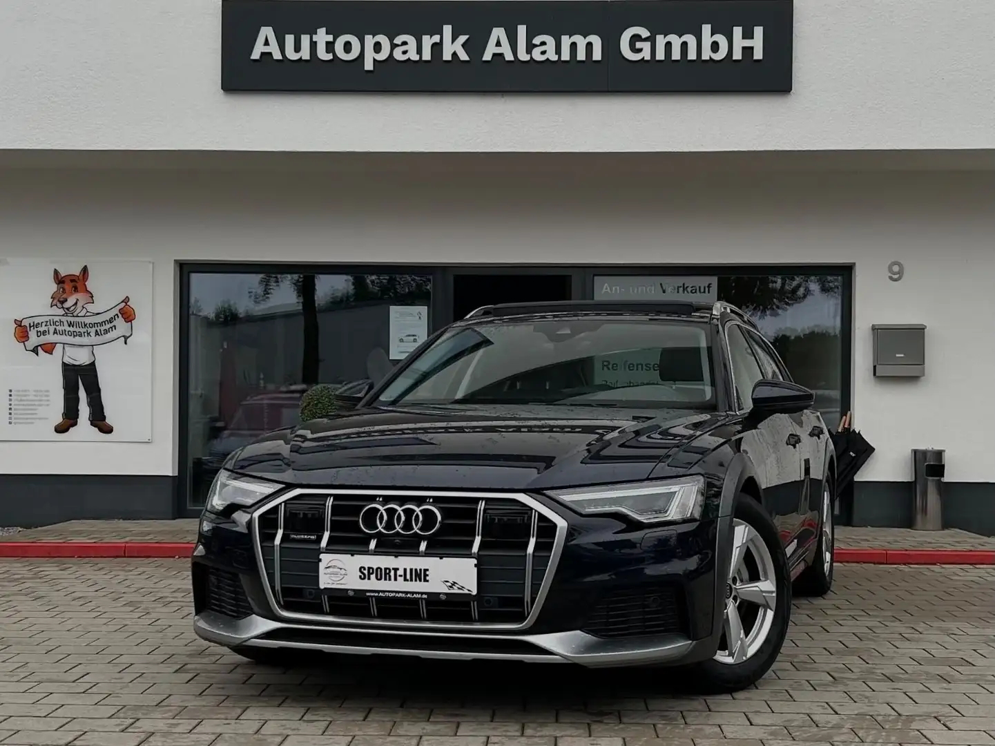 Audi A6 allroad quattro 50 TDI basis Lane ViCo Side Blau - 1