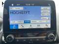 Ford EcoSport 1.0 Ecoboost ST-Line *Navi*Kamera* Grigio - thumbnail 11
