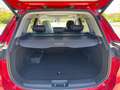 Sportequipe Sportequipe 6 2024 1.5 gpl 155cv -PREZZO REALE- KM0 Rot - thumbnail 23