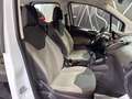 Ford Tourneo Courier 1.5 TDCI 75 CV Plus Blanc - thumbnail 19
