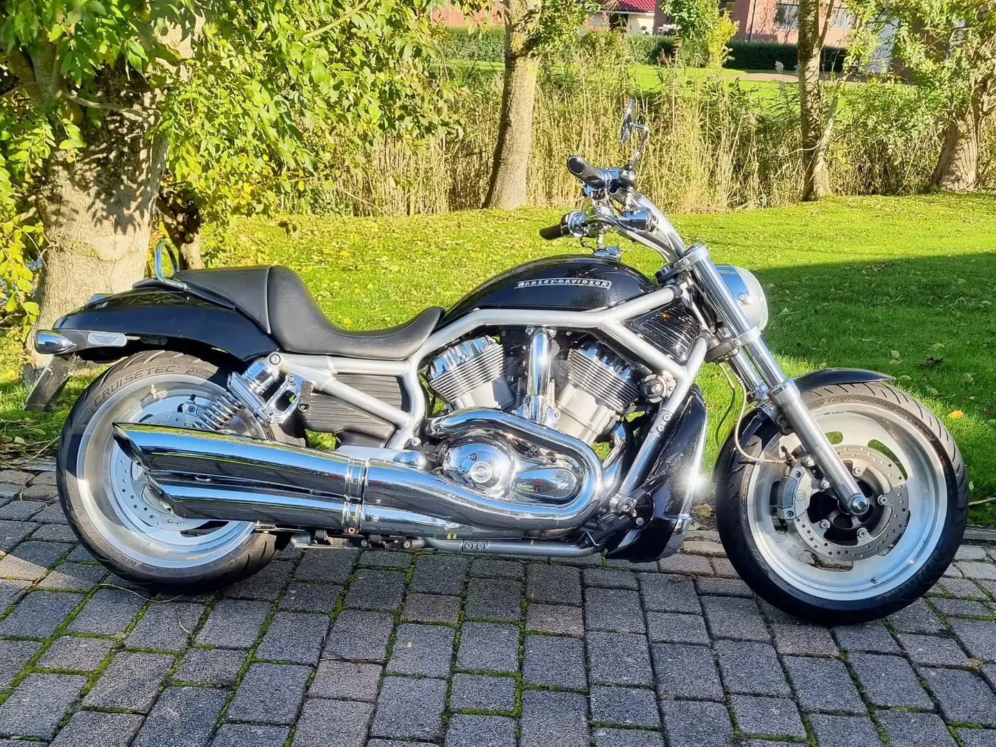Harley-Davidson VRSC V-Rod VRSCAW Noir - 1