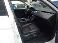 Land Rover Range Rover Evoque Evoque 1.5 i3 mhev R-Dynamic SE fwd 160cv auto Bianco - thumbnail 9