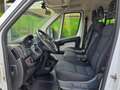 Fiat Ducato CASSONATO MAXI GRU 35 2.3 doppiacab. Bianco - thumbnail 10