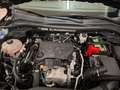 Ford Kuga Kuga III 2020 1.5 ecoblue ST-Line X 2wd 120cv auto Nero - thumbnail 12