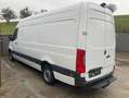 Mercedes-Benz Sprinter Wit - thumbnail 4
