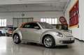 Volkswagen Maggiolino 1.4 TSI DSG KARMANN cabrio Gri - thumbnail 7