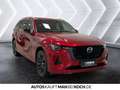 Mazda CX-80 2.5L e-SKY PHEV327ps 8AT AWD Homura COSO LED Rot - thumbnail 6