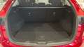 Mazda CX-5 2023 SKYACTIV-G MHEV 2.0 165CV AT 2WD ADVENTAGE Rojo - thumbnail 9