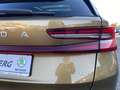 Skoda Kodiaq 2.0 TDI 4x4 DSG Selection Vollausstattung! Gold - thumbnail 16