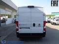 Fiat Ducato FURGONE Lh2 Weiß - thumbnail 6
