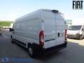 Fiat Ducato FURGONE Lh2 Weiß - thumbnail 7
