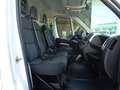 Fiat Ducato FURGONE Lh2 Blanc - thumbnail 16